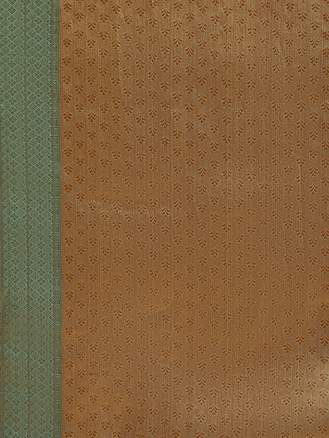 Faishana Presents Pure Gold & Seagreen Tissue Meena Jaal Border With Gold Blouse Banarasi Saree