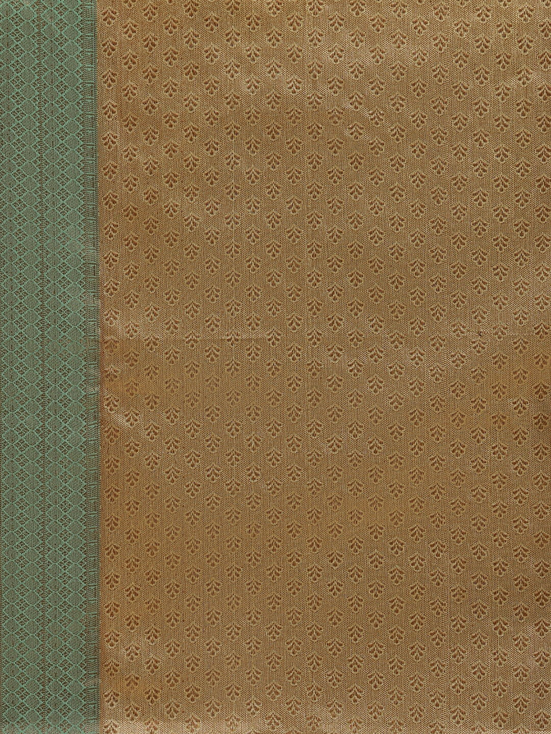 Faishana Presents Lemon Gold & Seagreen Tissue Meena Jaal Zari Border With Gold Blouse Banarasi Saree