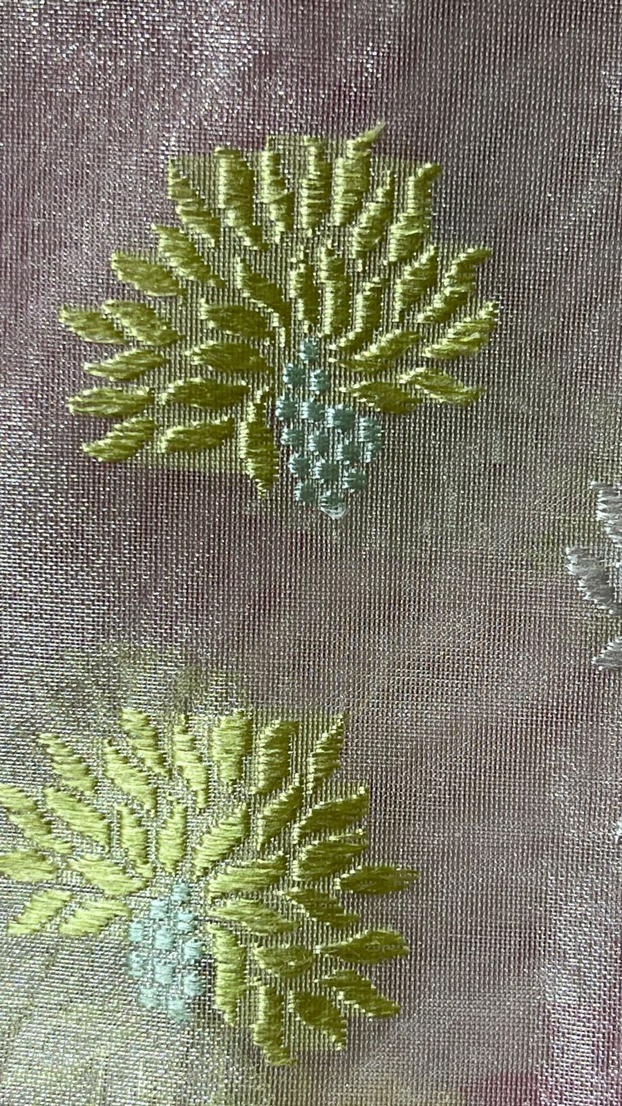 Faishana Pure Silk Handloom Beige Organza Silk Meenakari Booti Kadhwa Zari Border Banarasi Saree with Matching Beige Blouse