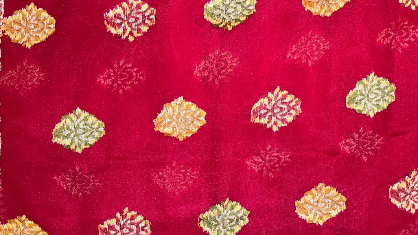 Faishana Presents Handloom Red Chiffon Resham Mina Zari Booti Kadiyal Anchal with Banarasi Mina Border and Red Blouse