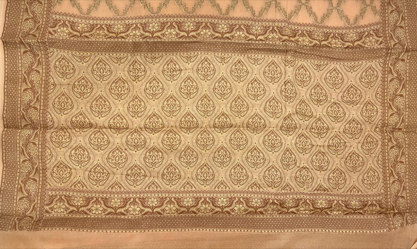 Faishana Pure Handwoven Cream Chiffon Kadiyal Copper Zari Jaal and Resham Mina Zari Boota Pallu with Cream Blouse