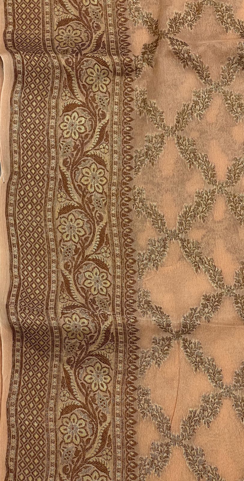 Faishana Pure Handwoven Cream Chiffon Kadiyal Copper Zari Jaal and Resham Mina Zari Boota Pallu with Cream Blouse
