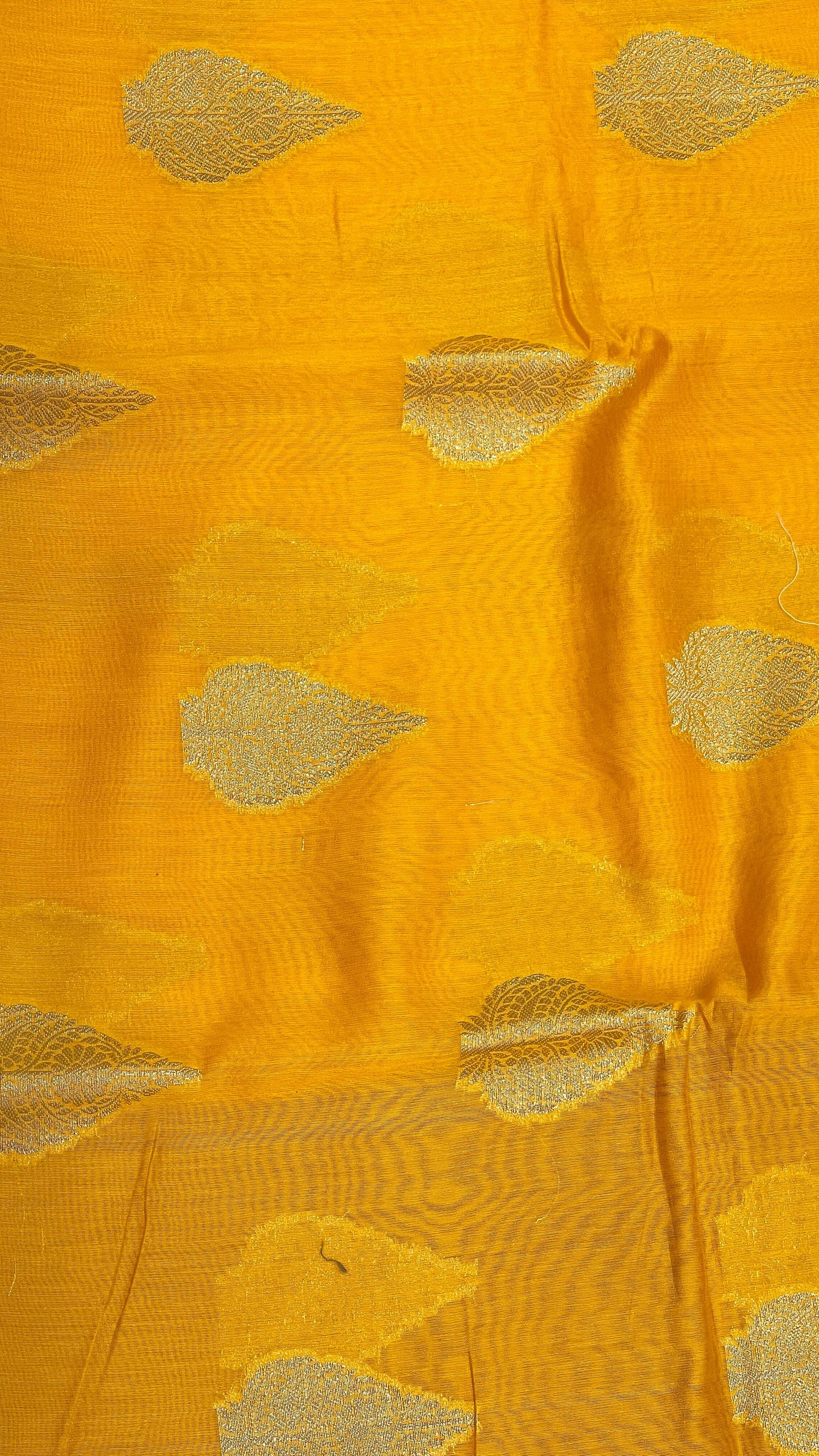 Faishana Pure Handloom Gold Cotton Golden Floral Zari Booti Contrast Maroon Floral Zari Jaal Border and Pallu with Maroon Blouse