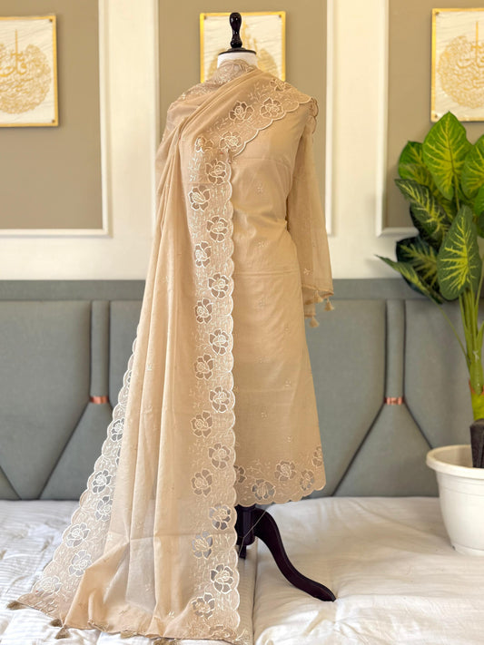 Beige Mal Chanderi Applique Daman Booti Banarasi Suit With Applique Dupatta 180PNJ_MLA13