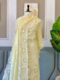 Light Yellow Mal Chanderi Thread Embroidery Applique Jaal Banarasi Suit With Thread Embroidery Dupatta 225PNJ_MLA4