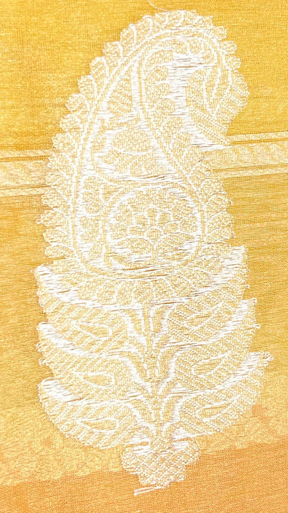 Faishana Pure Handloom Mustard Rang kaat Kora Tissue Silk Sona Rupa Kadhwa Zari Stripe with Kadhwa Sona Rupa Zari Boota and Mustard Blouse