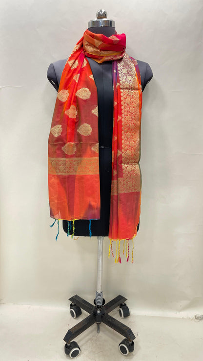 Multicolor Katan Georgette Floral Zari Dupatta ASDD_2