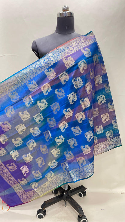 Multicolor Katan Georgette Floral Zari Dupatta ASDD_9