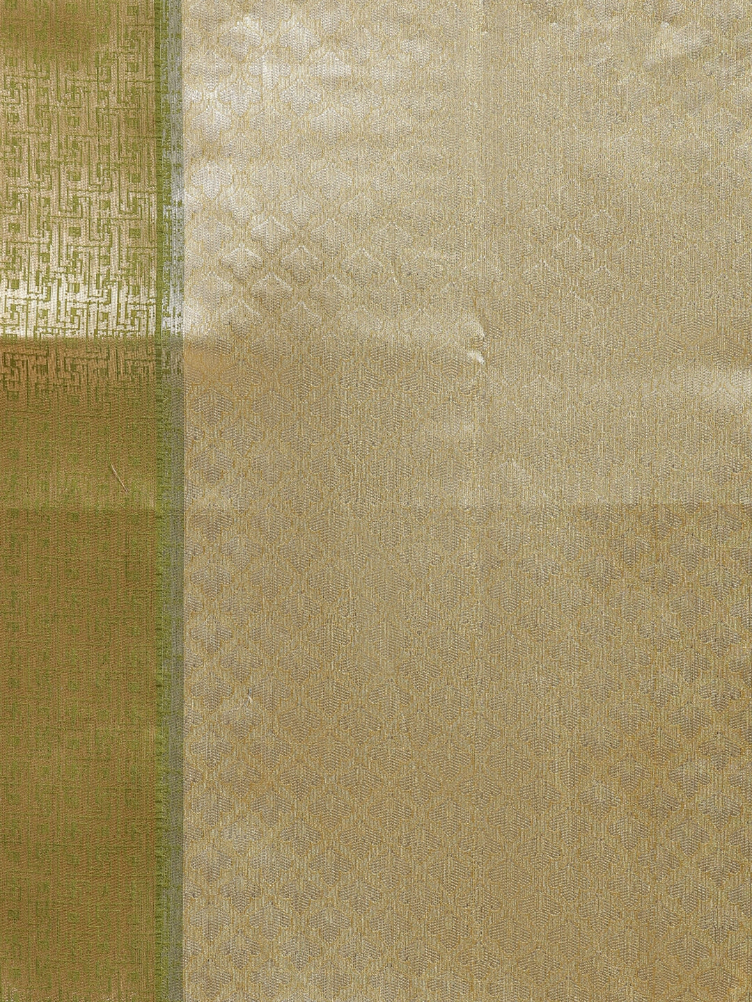 Faishana Presents Gold & Green Tissue Meena Jaal Border With Green Blouse Banarasi Saree