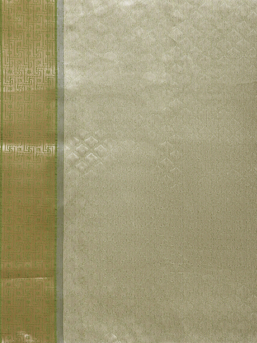 Faishana Presents Lemon & Green Tissue Meena Jaal Zari Border With Green Blouse Banarasi Saree