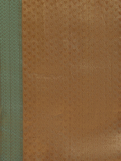 Faishana Presents Pure Gold & Seagreen Tissue Meena Jaal Border With Gold Blouse Banarasi Saree