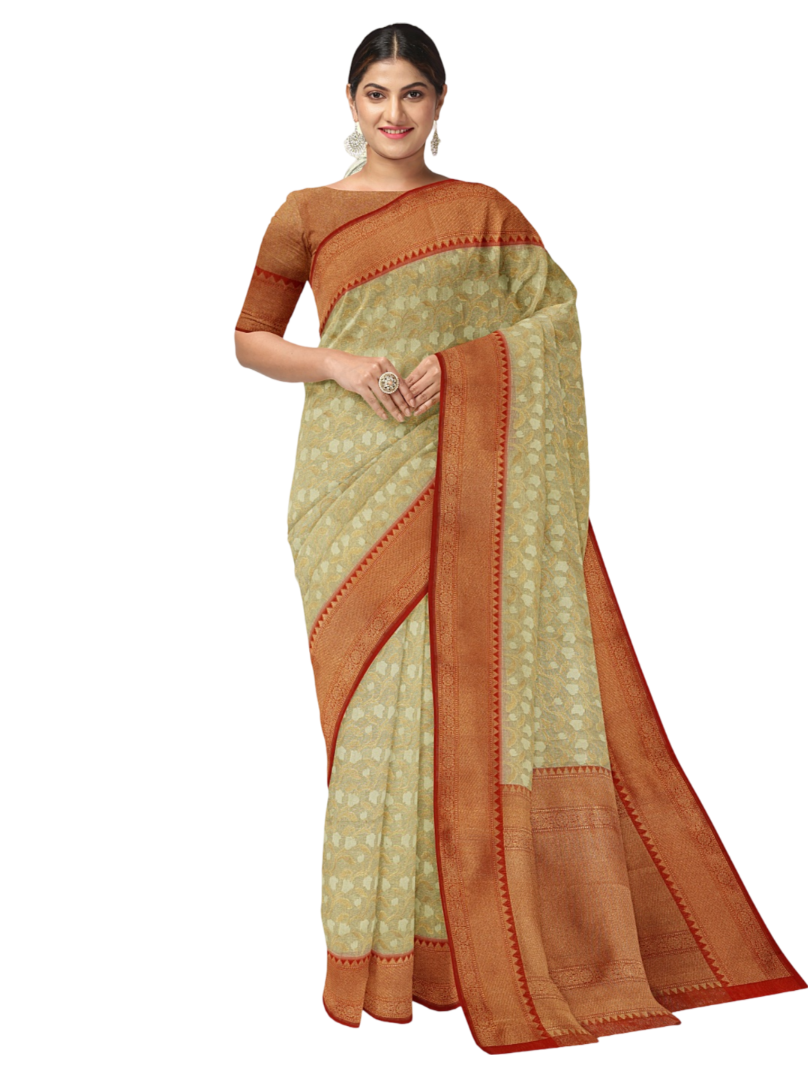Faishana Presents Presents Off White Cotton Floral Jaal Pattern Banarasi Black Border Saree