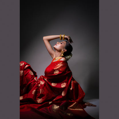 Faishana Presents Red Katan Silk Woven Gold Zari Silver Meena Border Handloom Banarasi Saree With Maroon Blouse Piece