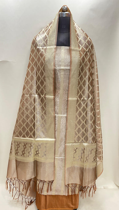 Brown tissue silk suit set with floral zari stripe and carry dupatta. SHL_78