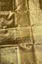 Faishana Presents Gold Supernet Banarasi Tissue Zari Stripe Skirt Floral Zari Border with Gold Blouse Banarasi Saree