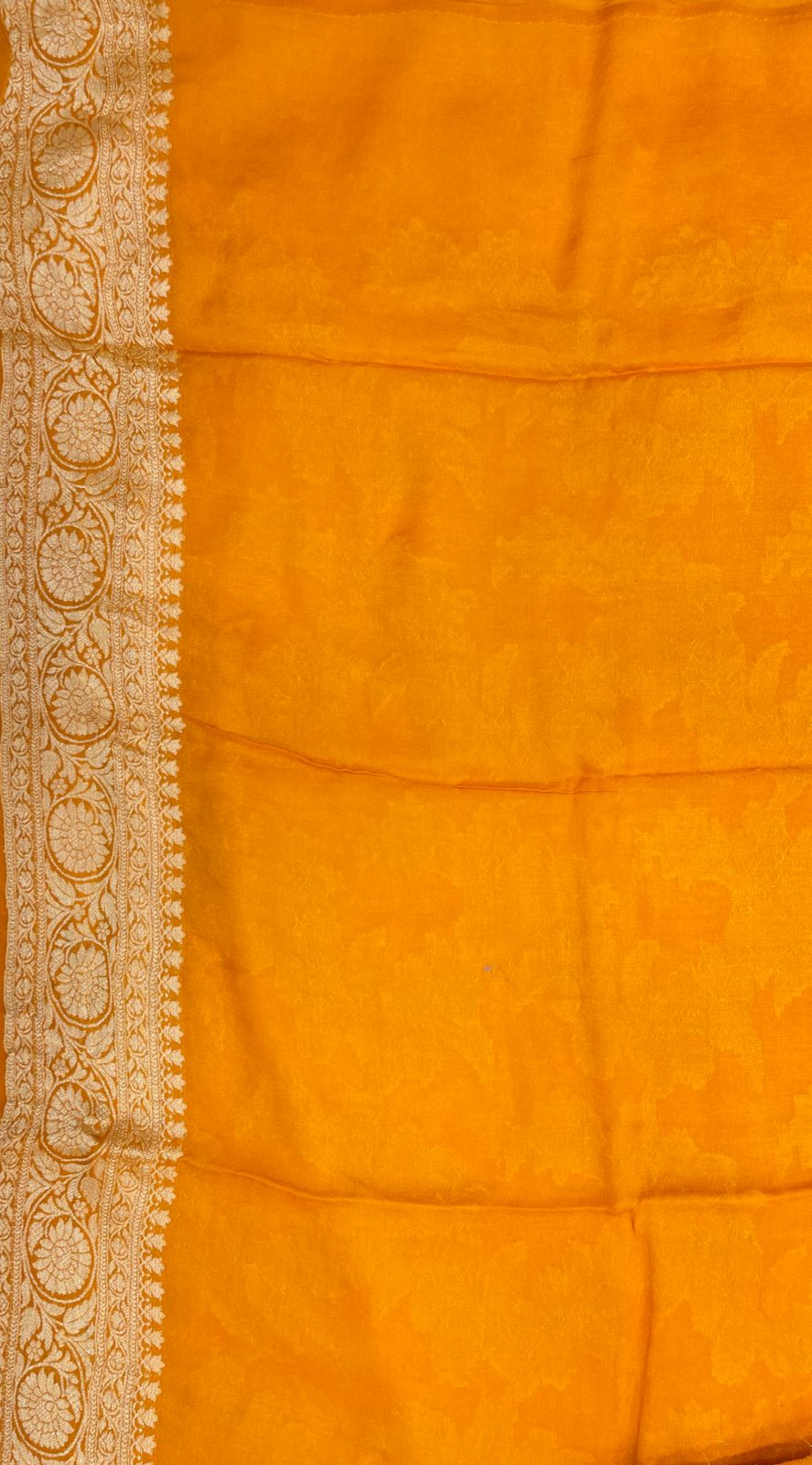 Faishana Pure Handloom Gold Contrast Chiffon Alfi Gold Zari Jaal and Banarasi Zari Border Saree with Gold Blouse