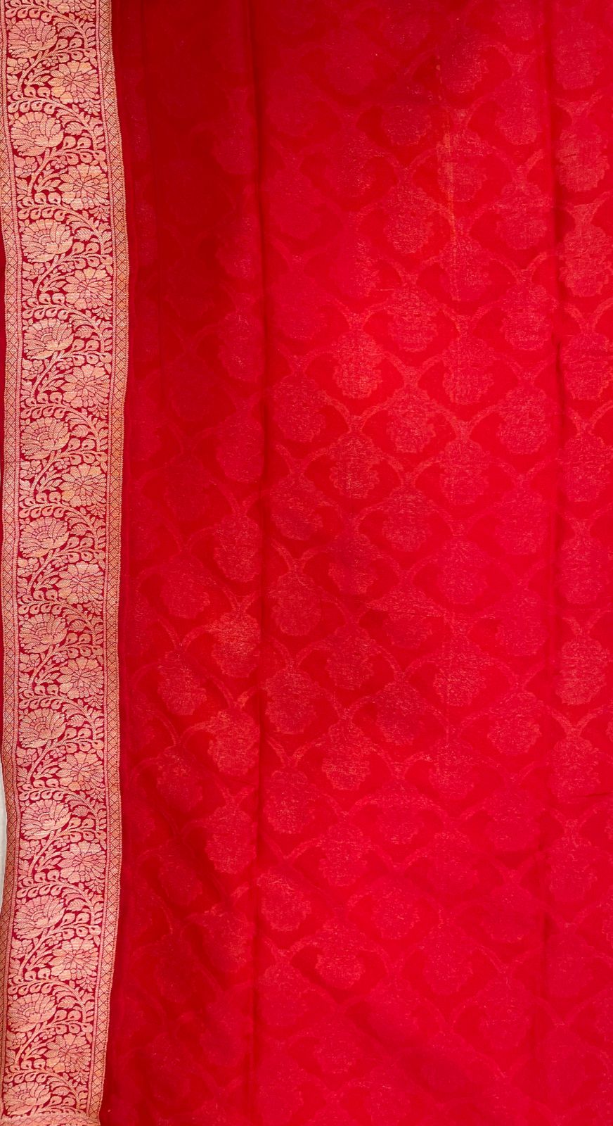 Faishana Pure Handloom Yellow Chiffon Golden Zari Floral Booti Jaal with Contrast Red Zari Booti Anchal and Zari Border with Red Blouse