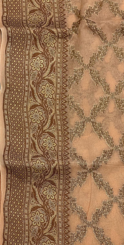 Faishana Pure Handwoven Cream Chiffon Kadiyal Copper Zari Jaal and Resham Mina Zari Boota Pallu with Cream Blouse