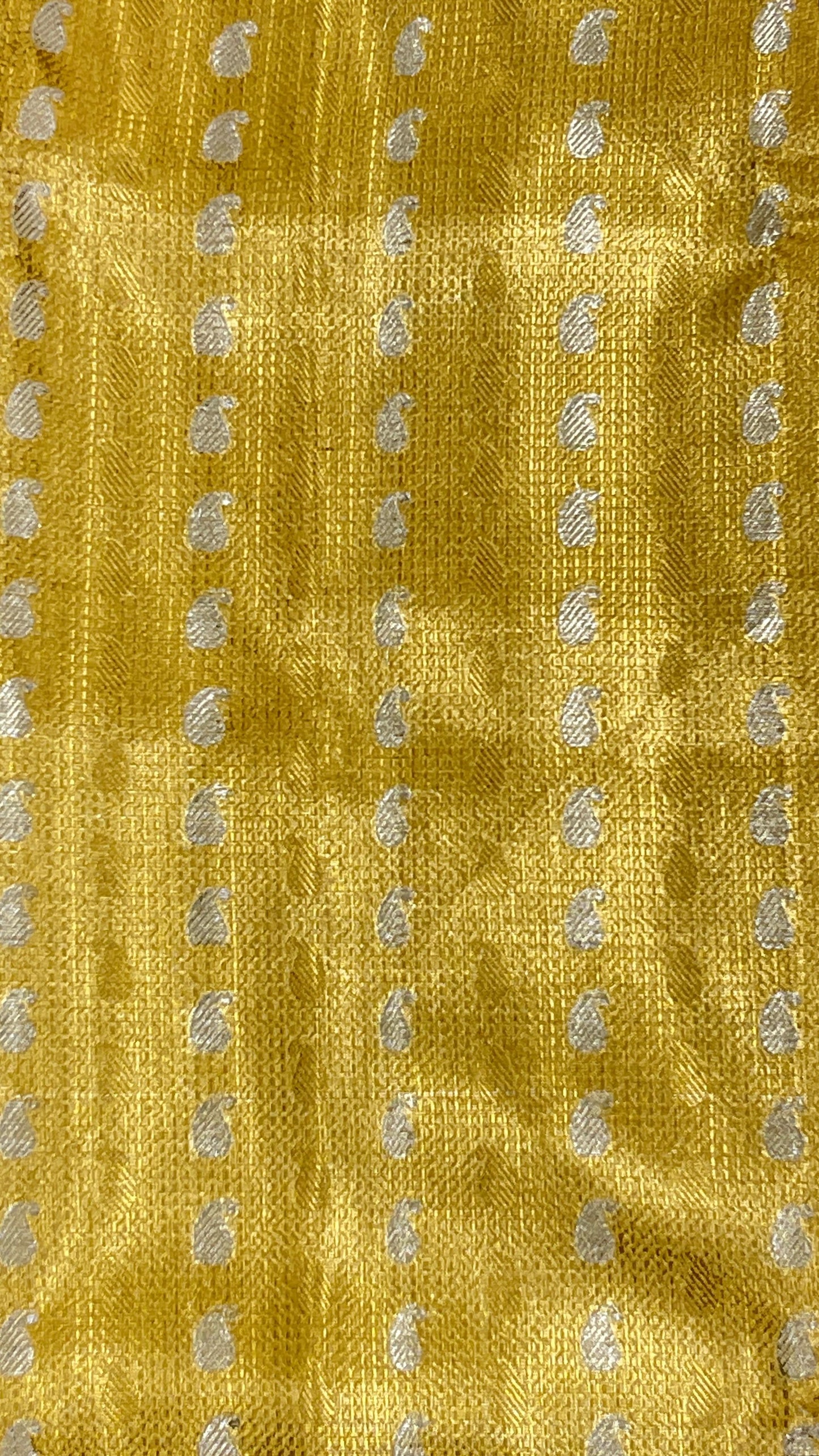 Faishana Presents Gold Tissue Alfi Silver Zari Booti with Contrast Off White Pallu Saree with Off White Blouse