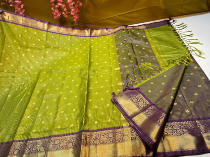 Pista Green Gadhwal Silk Floral Zari Booti with Contrast Purple Border Banarasi Saree MS_GS1