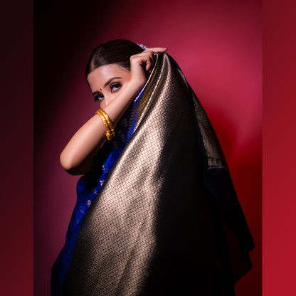 Violet Warm Silk Zari Digonal Strip Banarasi Diable Skirt Border Saree