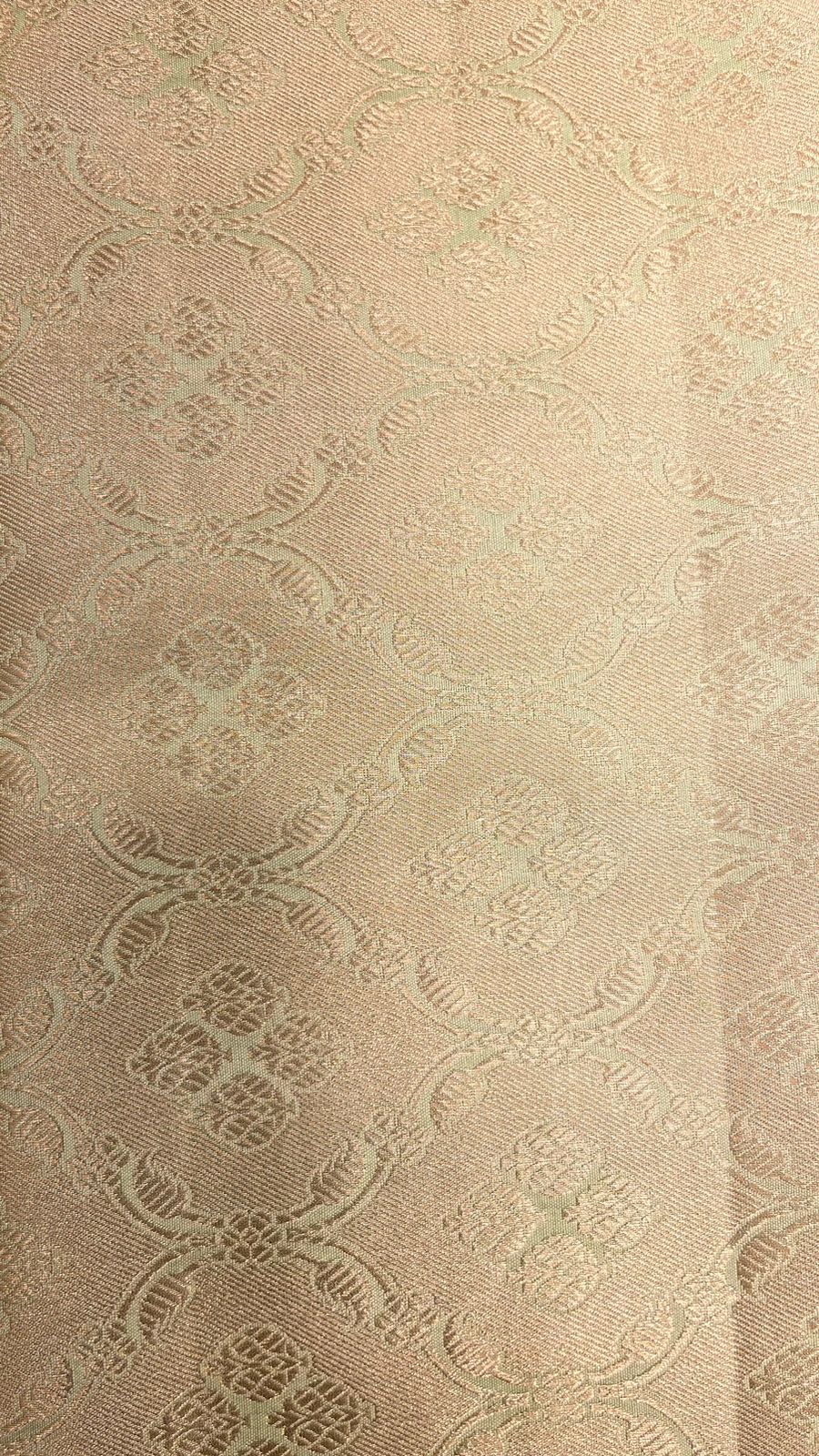 Faishana Presents: Exquisite Pure Silk Handloom Pistachio Chiniya Silk Tilfi Zari Jaal Zig-Zag Banarasi Saree with Minakari Zari Border & Matching Blouse Piece